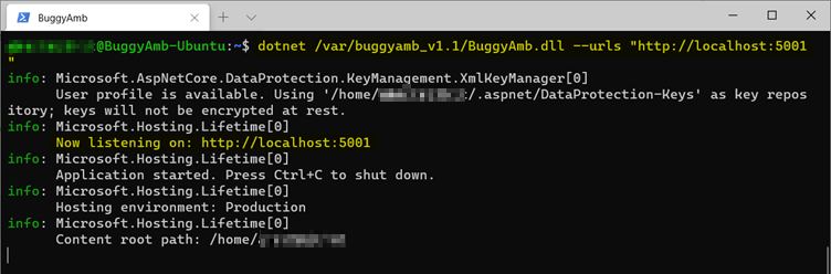 Screenshot of dotnet urls command.