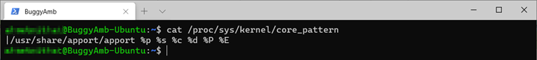 Screenshot of cat core command.