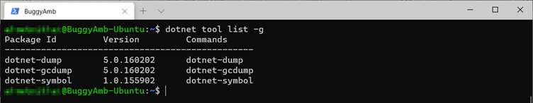 Screenshot of dotnet tool command.