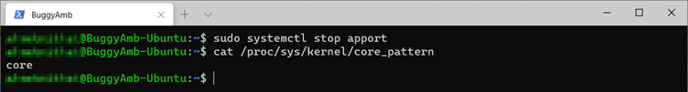 Screenshot of sudo and cat command.