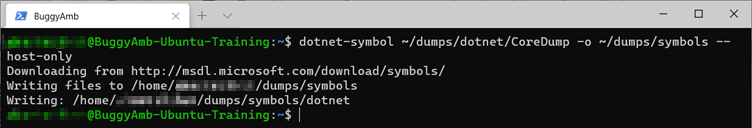 Screenshot of dumps command.