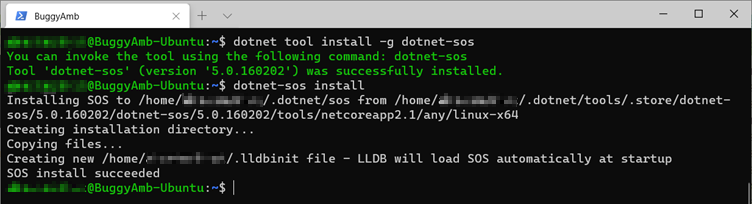 Screenshot of install command.