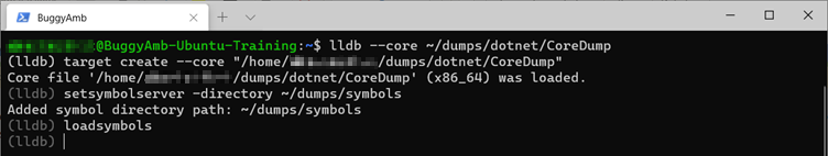 Screenshot of loadsymbols command.