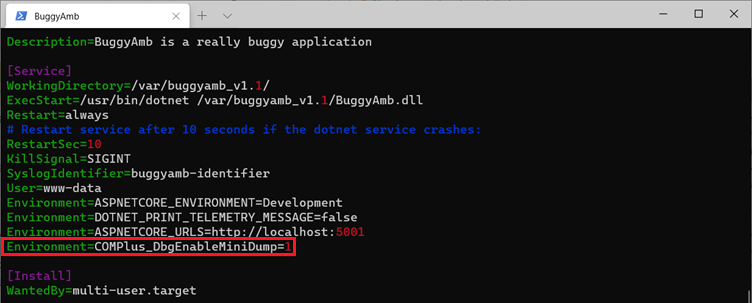 Screenshot of buggy command.