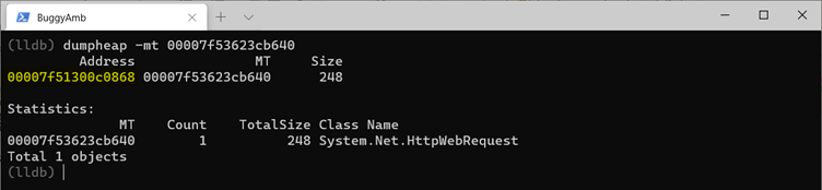Screenshot of dumpheap command.