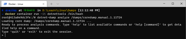 Screenshot of dotnet dump command.