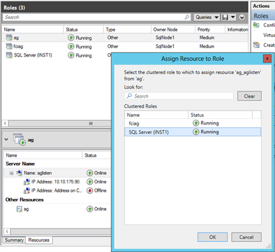 Screenshot of Assign Resource to Role dialog box.