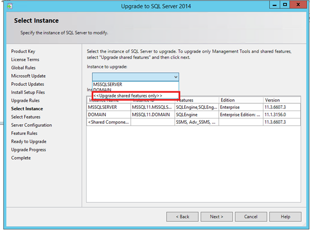 Screenshot of the Upgrade shared features only option in the Select Instance page.