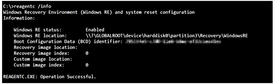 Screenshot of the output of the reagentc.exe /info command.