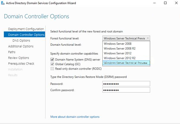 Domain controller promotion process shows the Windows Server Technical  Preview option in the Domain and Forest functional level list - Windows  Server | Microsoft Learn