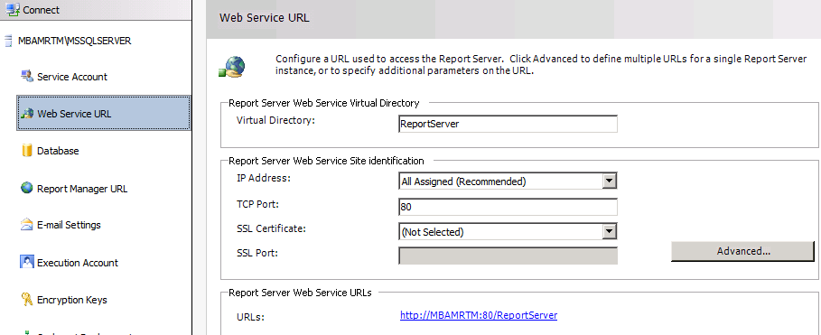 Screenshot of the Connect window with Web Service URL selected on the left pane.