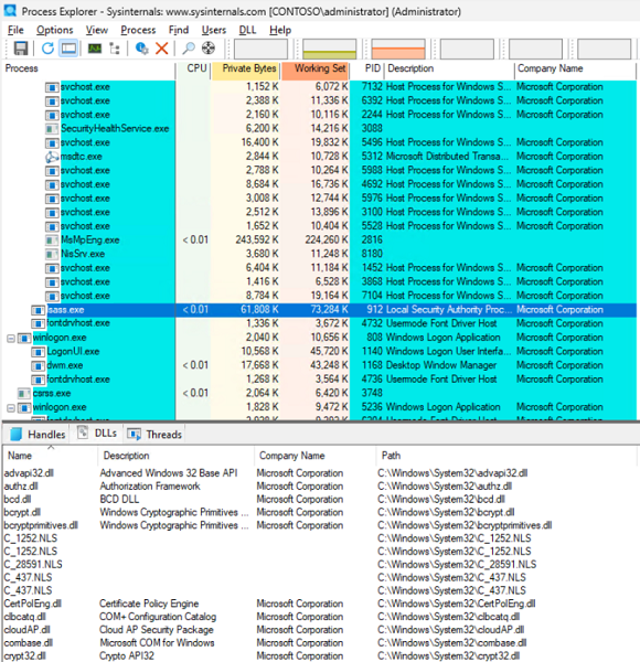 Screenshot of the Process Explorer with loaded dlls or modules.