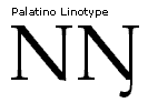 Screenshot that shows an uppercase N and an uppercase Eng in Palatino Linotype.