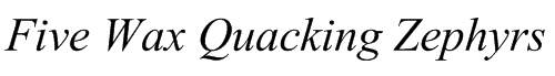 Times New Roman Special G1 Italic sample