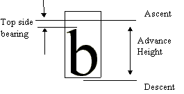 Lowercase b glyph with ascent, descent, top side bearing, and advance height metrics
