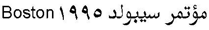 a line of text with both Latin and Arabic scripts