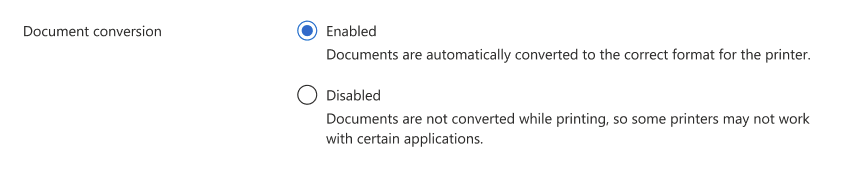 Screenshot showing the options for document conversion