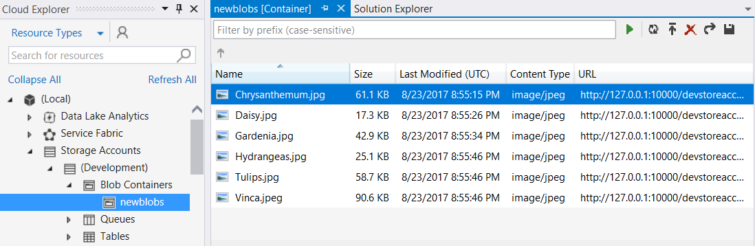 Blob container view