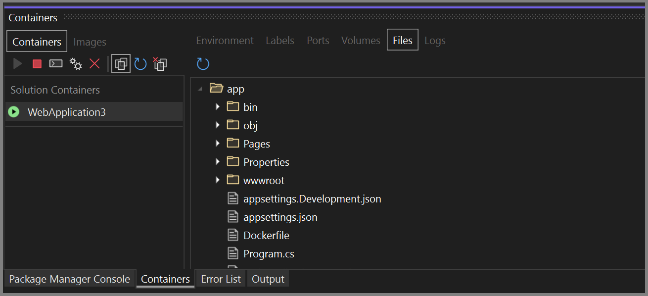 Screenshot of Files tab in Containers window.