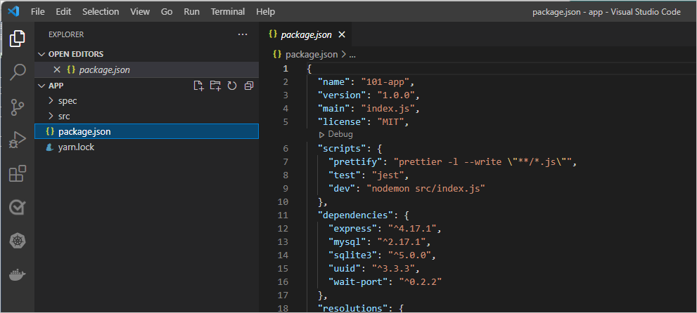 Screenshot of Visual Studio Code showing the package.json file open with the app loaded.
