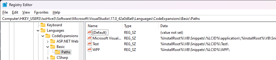Screenshot of registry keys for code snippets.