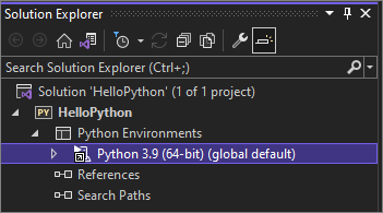 Screenshot showing the default environment in Solution Explorer.