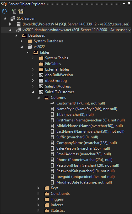 Screenshot that shows the SQL Server Object Explorer window.