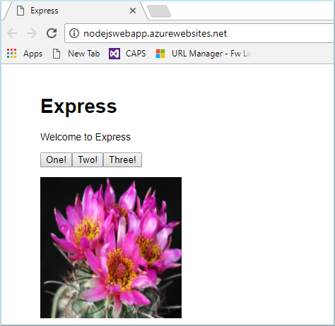 Screenshot that shows the web app running in Azure App Service in a browser.