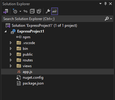Screenshot of Solution Explorer in Visual Studio.