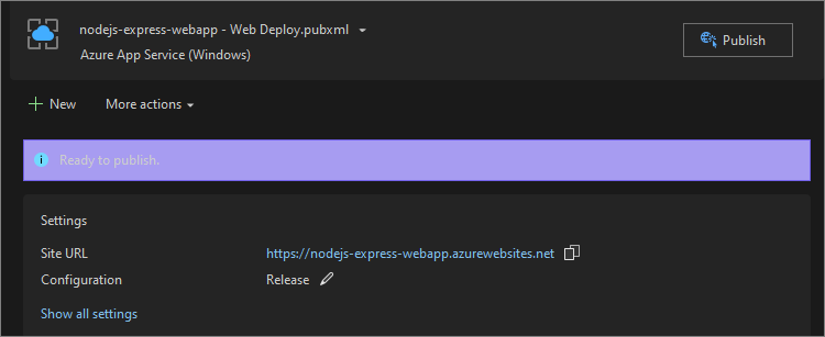 Screenshot that shows the Publish configuration and button in Visual Studio.