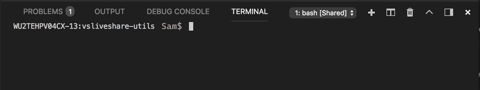 Screenshot that shows the Terminal tab in Visual Studio Code.