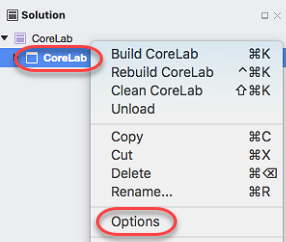 Screenshot showing the context menu for the CoreLab solution, highlighting Options.