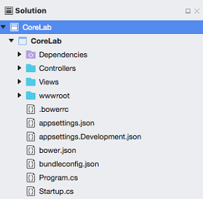 Screenshot of the solution project node selected to see its contents, including folders and files.