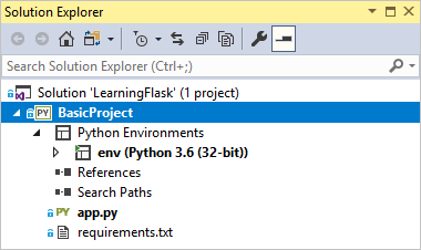 Blank Flask project files in Solution Explorer