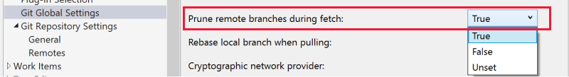 Screenshot that shows 'Prune remote branches during fetch' highlighted and with 'True' selected from the drop-down.