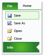 Info tab in Excel