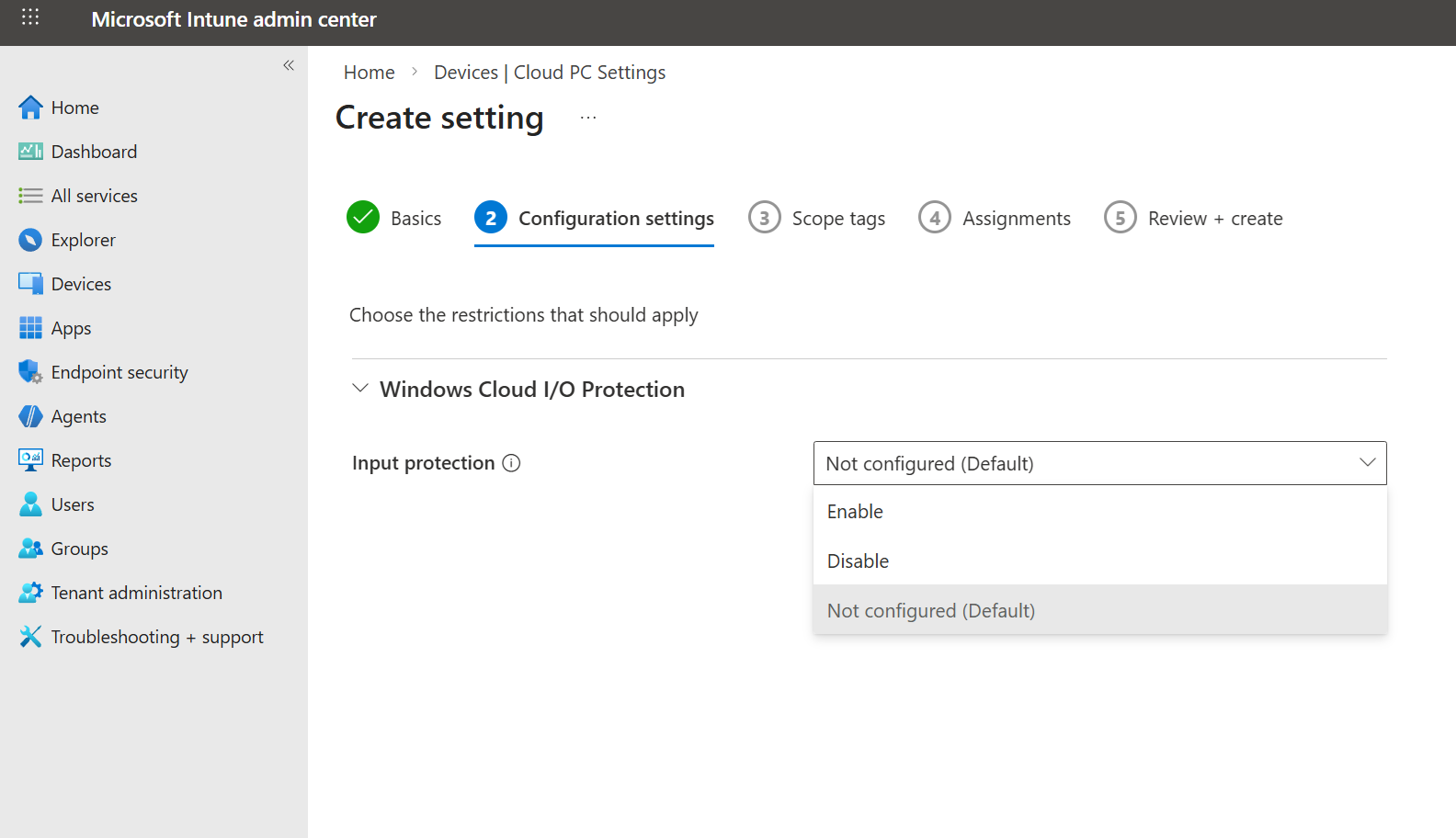 Win 365 RDP Properties Input Protection