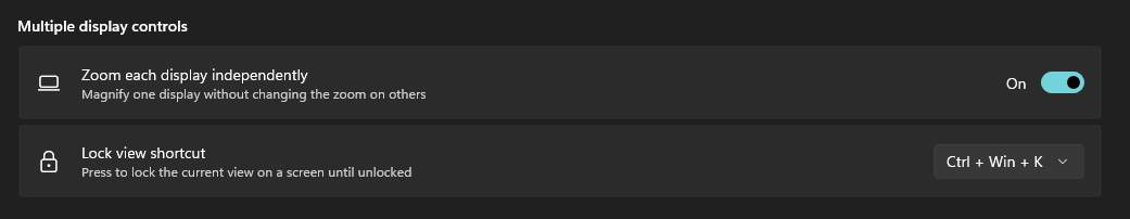 Capture d'écran des multiples commandes d'affichage de la Loupe, notamment les options de zoom indépendant et de verrouillage de la vue.