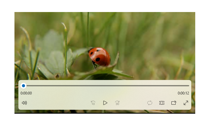 Media Player Hub - Microsoft Apps