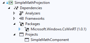 Solution Explorer showing projection project dependencies