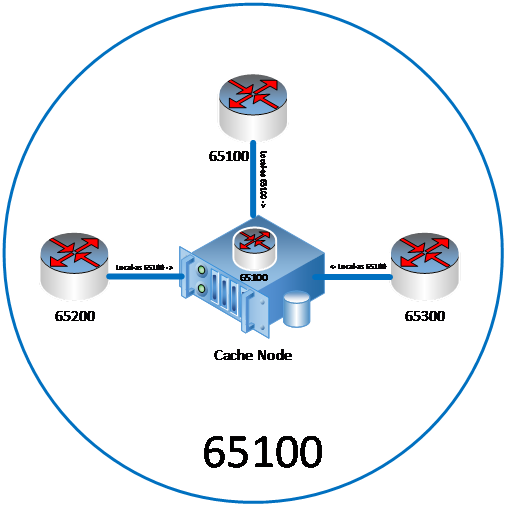 A diagram that shows the relationship between the cache node and other ASNs/routers when using BGP. BGP routing allows the cache node to route to other network providers with different ASNs.