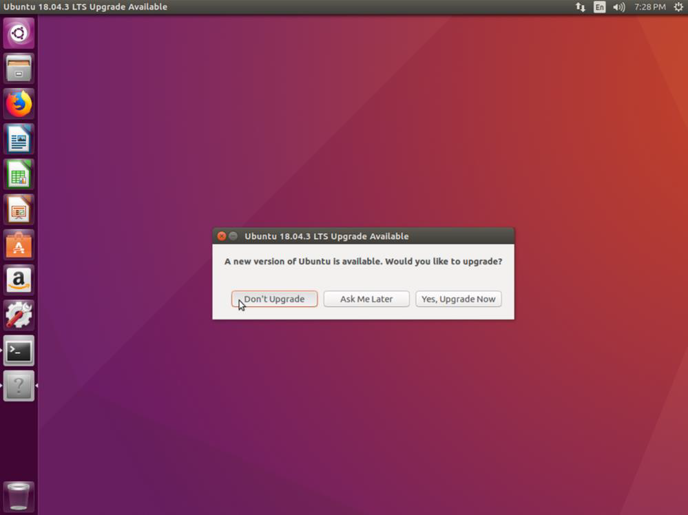 Screenshot of the Ubuntu install's Upgrade Available prompt with Don't Upgrade selected.