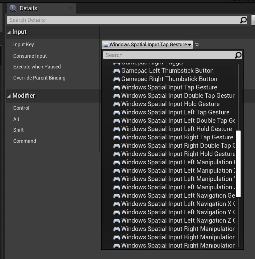 Screenshot of Windows spatial input tap gesture options in the details panel