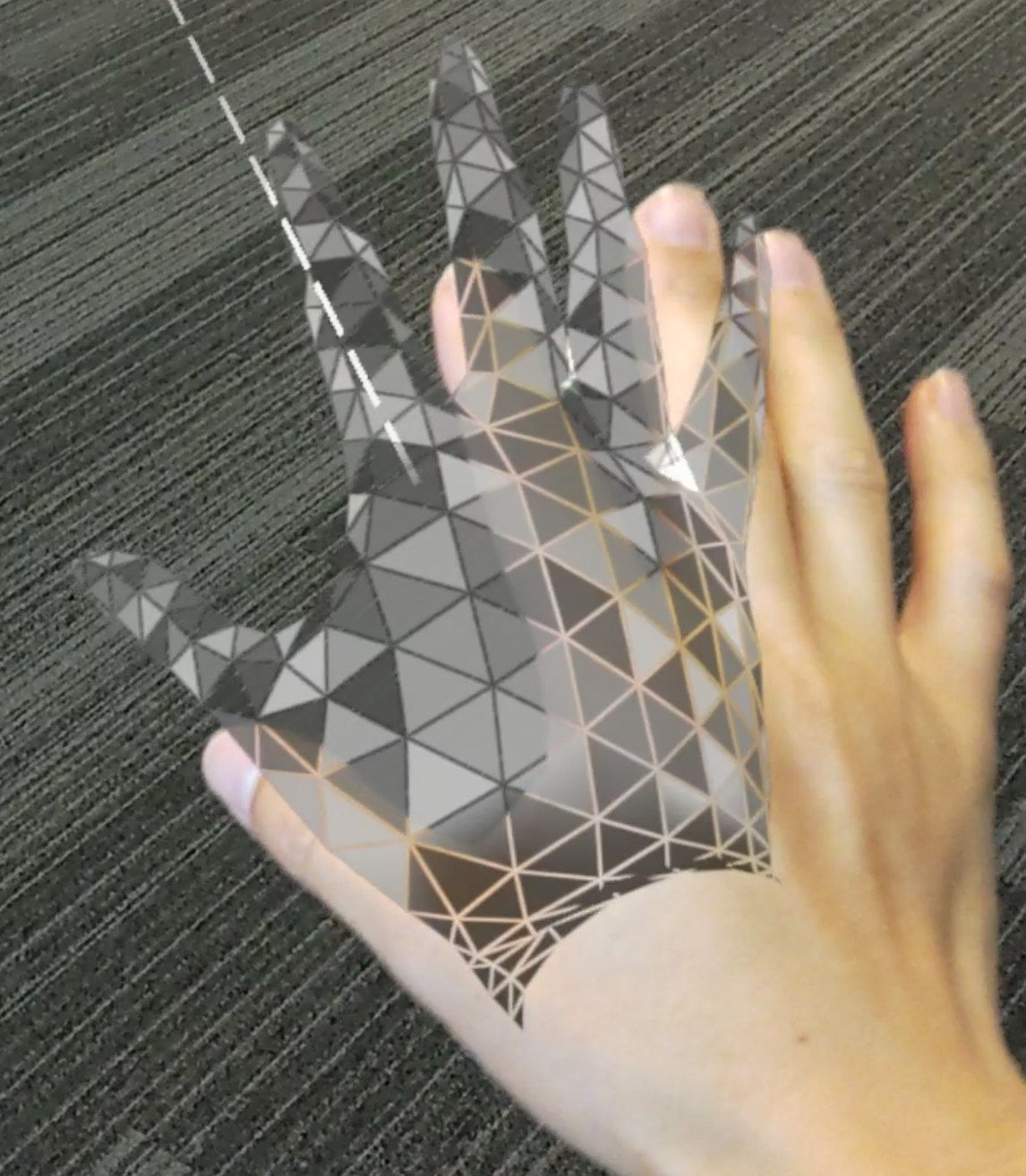 Input Hand Mesh