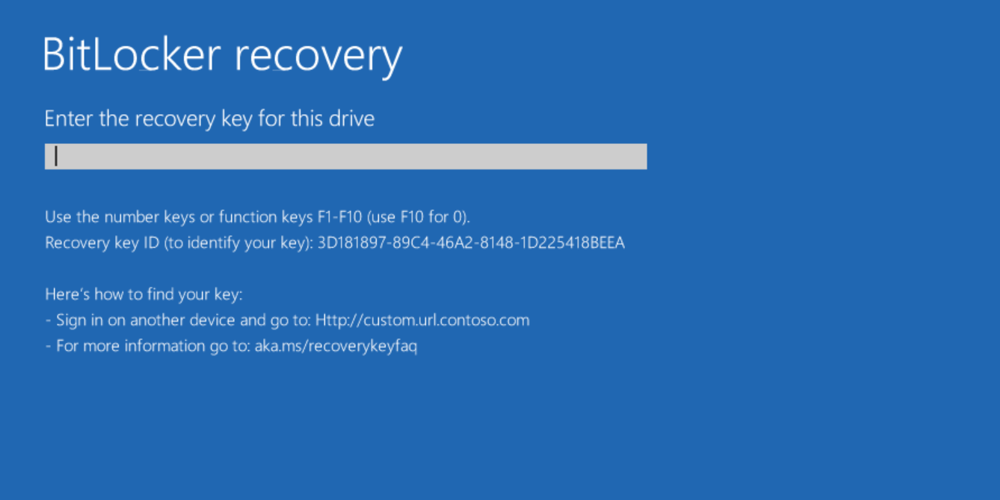 Example 2 of customized BitLocker recovery screen.
