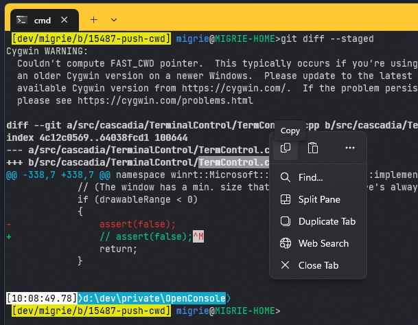 A screenshot of the context menu in the Terminal