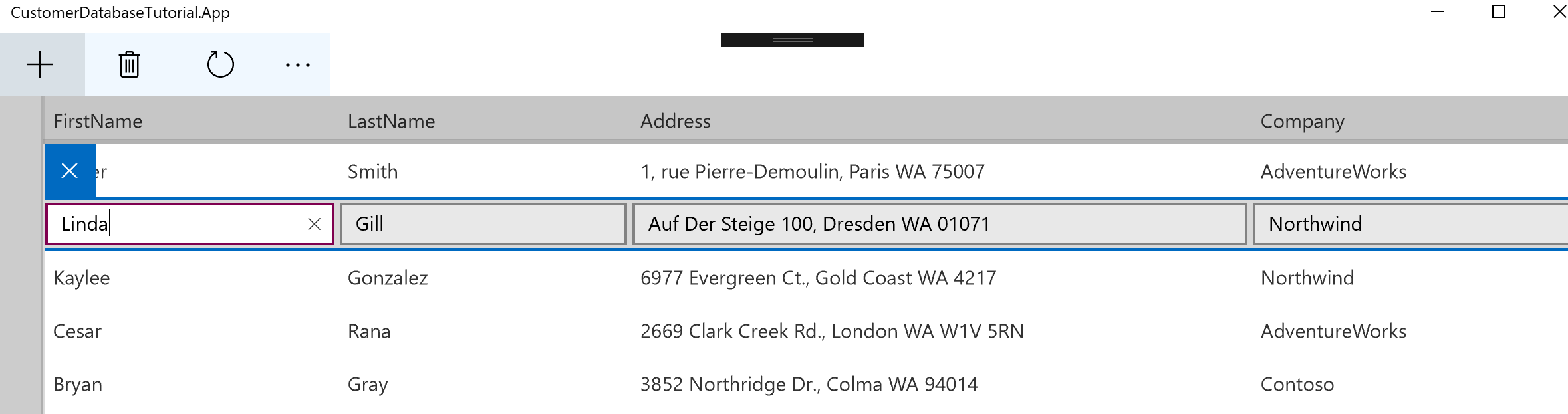 Editing a customer in the data grid