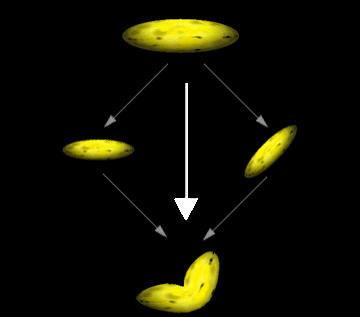 illustration of the process to blend two objects with banana texture