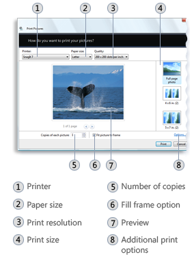 Photo printing wizard windows 10 free download freefire pc download
