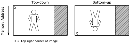 diagram showing top-down and bottom-up images.